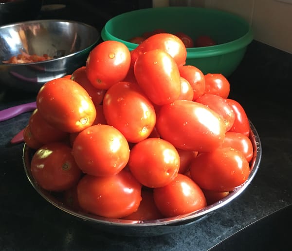 The Tomato Chronicles